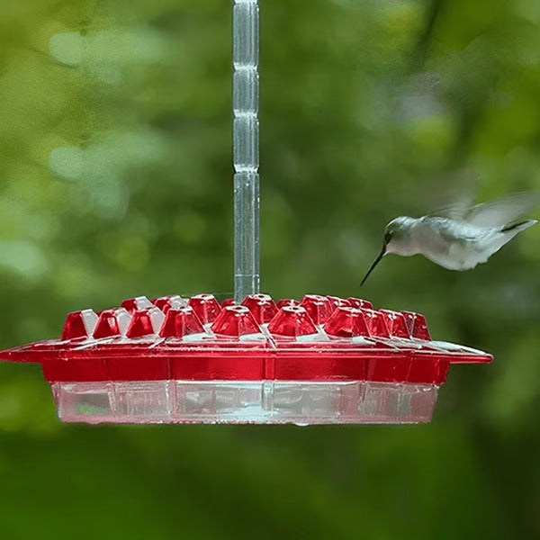 Velvaro Hummingbird Feeder Ant Moat