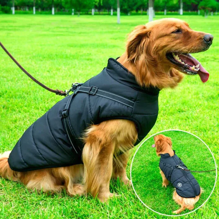 Velvaro Waterproof Dog Winter Jacket