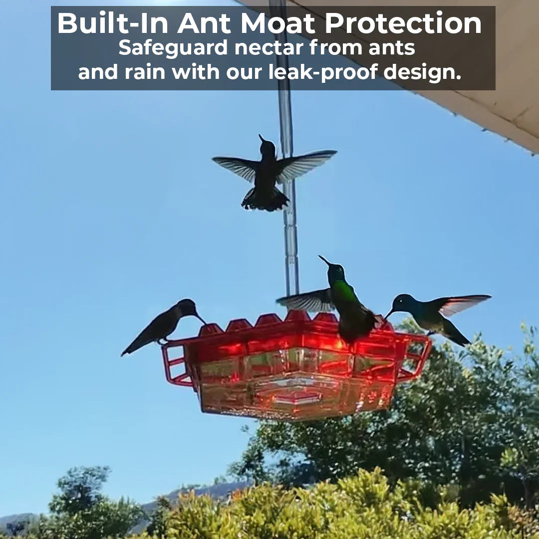 Velvaro 30-Port Ant-Proof Hummingbird Feeder