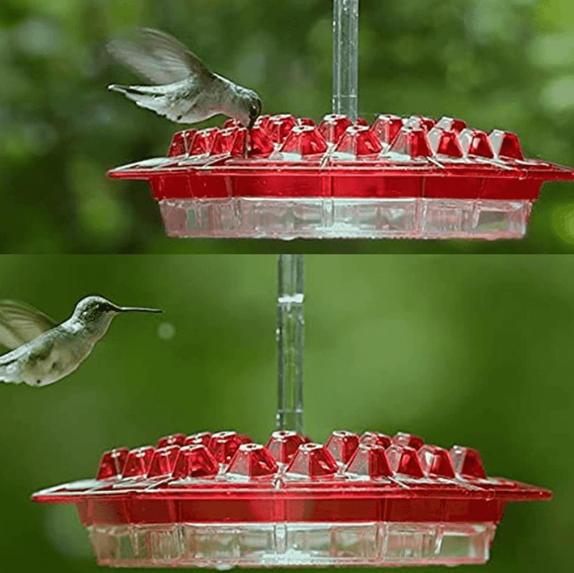 Velvaro Ant-Proof Hummingbird Feeder