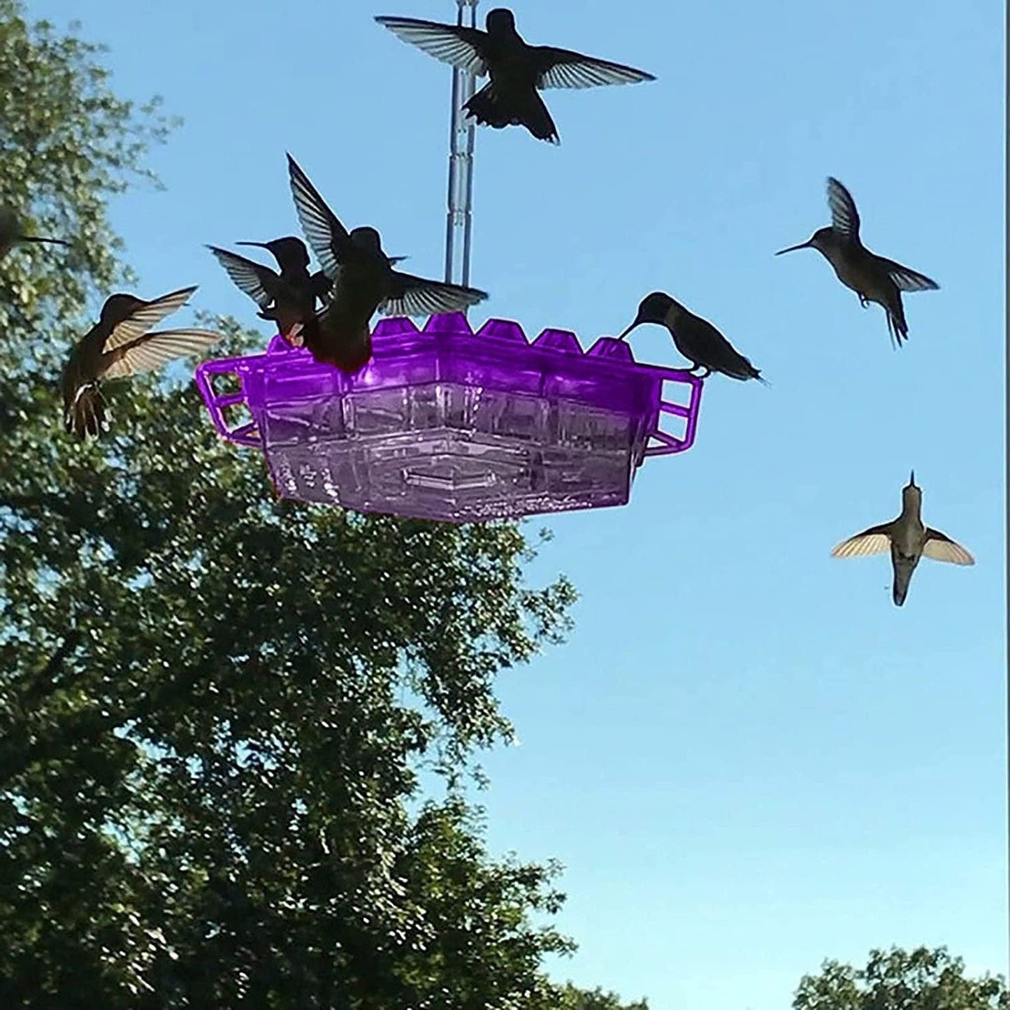 Velvaro Ant-Proof Hummingbird Feeder
