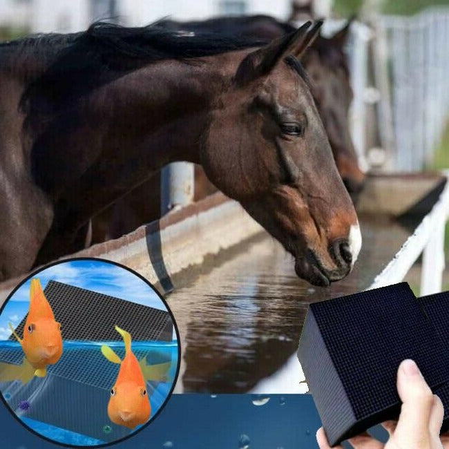 Velvaro Bio Cube Water Purifier for Livestock