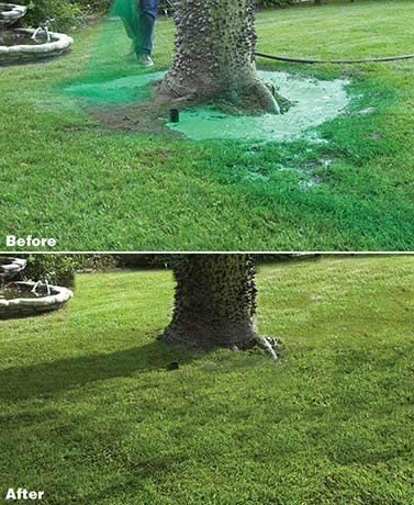 Velvaro Liquid Lawn Seed Spray System