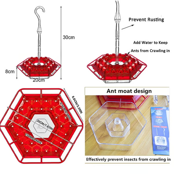 Velvaro Hummingbird Feeder Ant Moat