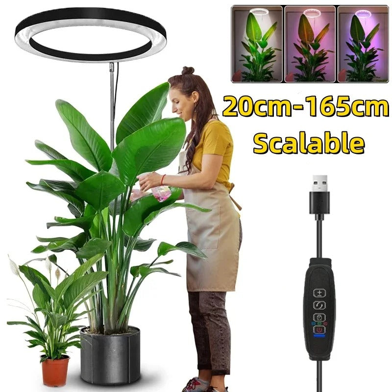 Velvaro Full Spectrum Indoor Plant Grow Light