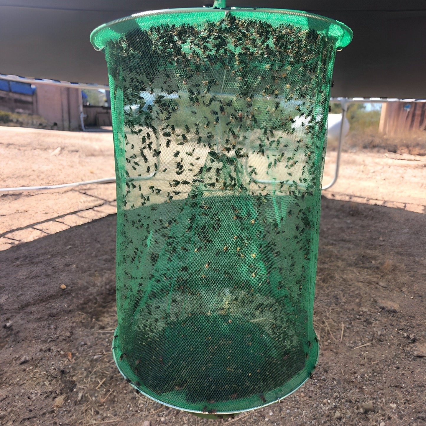 Velvaro Stable Fly Trap