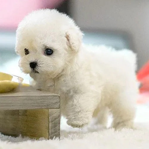 Velvaro Realistic Interactive Plush Puppy