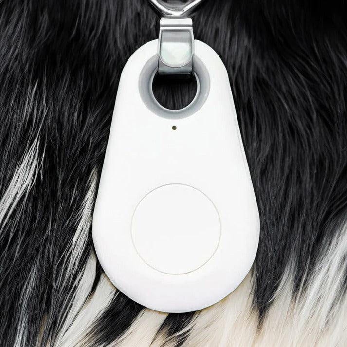 Velvaro Waterproof Smart Pet GPS Tracker