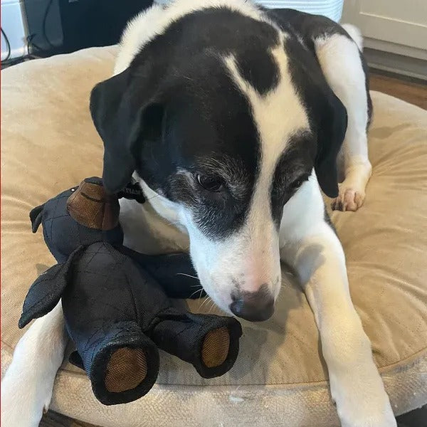 Velvaro Indestructible Bear Dog Toy