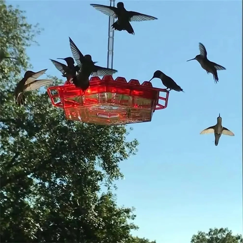 Velvaro Ant-Proof Hummingbird Feeder