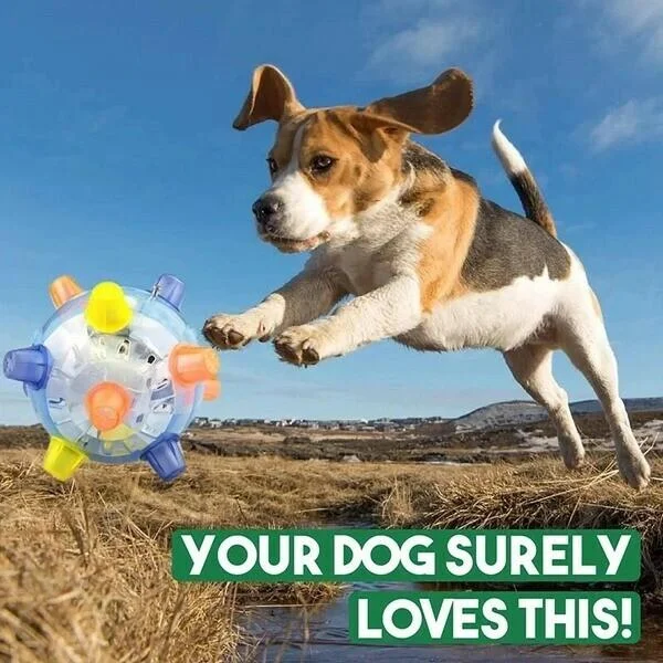 Velvaro Interactive Dog Activation Ball