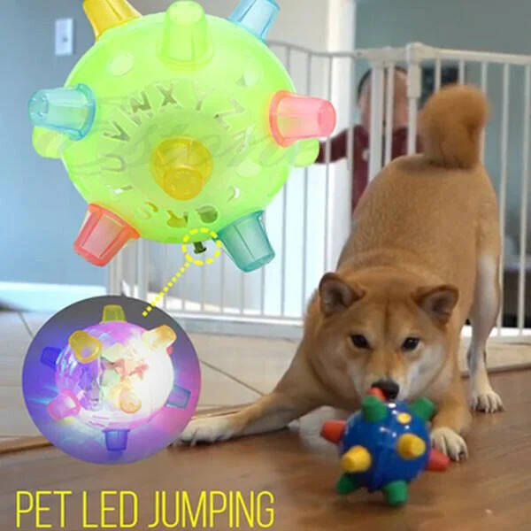 Velvaro Interactive Dog Activation Ball