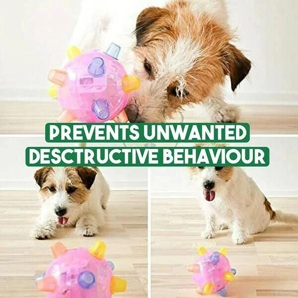 Velvaro Interactive Dog Activation Ball