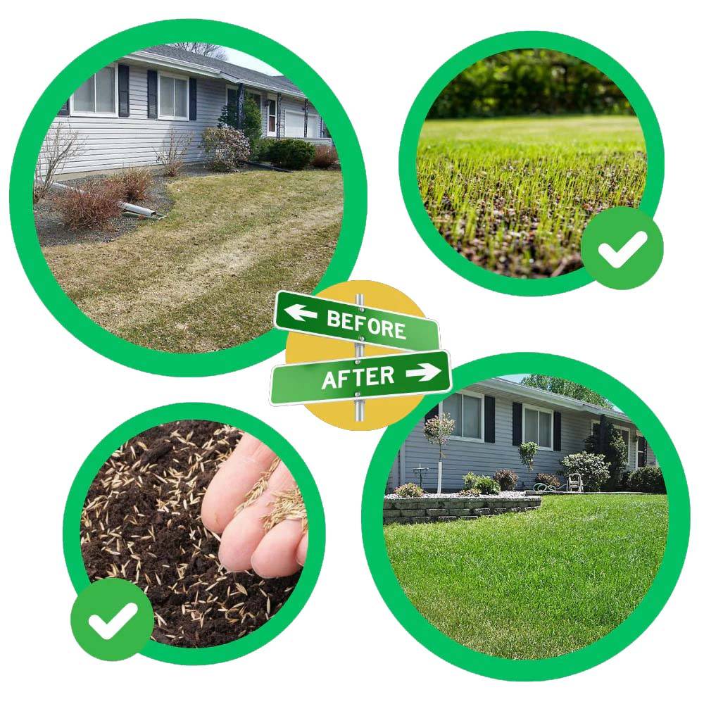 Velvaro Quick-Fix Grass Seed Repair Mat
